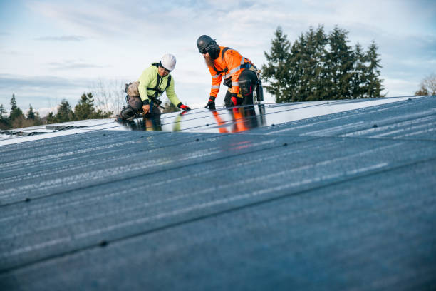 Trusted Metal Roofing service in Ehrhardt, SC - Ben Roofing and Steel LLC